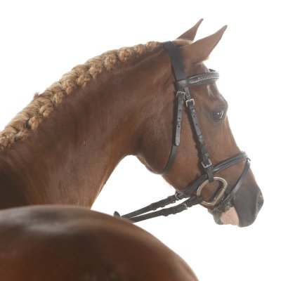 Poney Club Chafarela