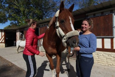 Centre équestre des picotains