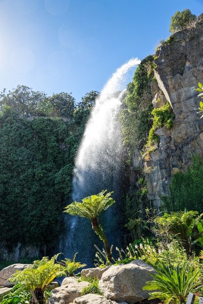 LE JARDIN EXTRAORDINAIRE