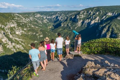 Flânerie botanique sur le sentier du Point Sublime
