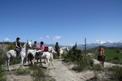 Les Ecuries de la Luye
