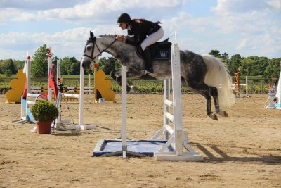 Les Écuries de Cocagne - Centre Équestre
