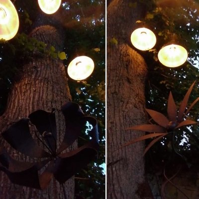 Féerue de la Luolle