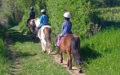 Poney-club des Brumes