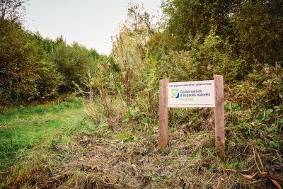 La Pâture de Dampcourt