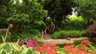 Jardin de Valérianes
