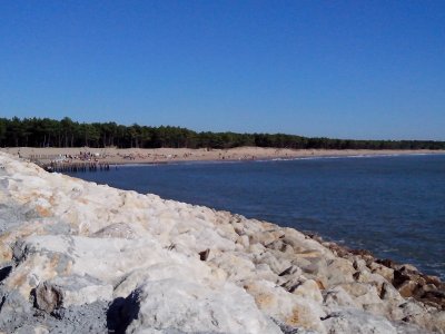 Plage des Pins de Cordouan