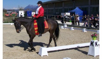 Les Ecuries des Rosay