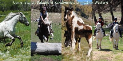 Centre équestre - Ranch du Grand Aigle