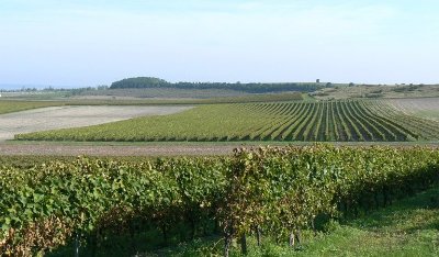 Circuit VTC N°5 - "Les coteaux - Pérignac"