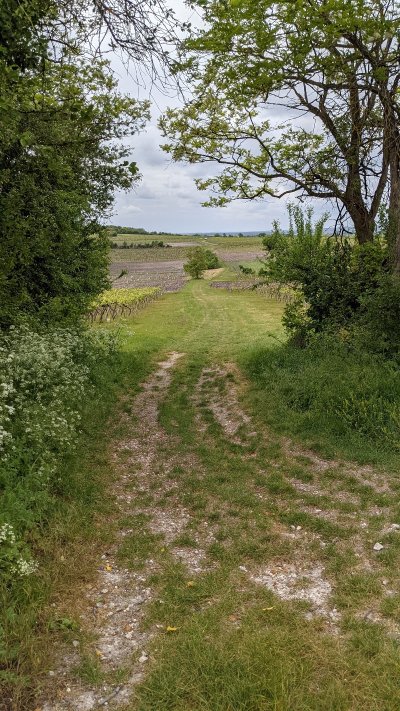 Balade | Les Souvenirs d'Enfance de Robert