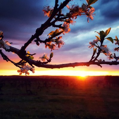 Balade | Les Spots Instagrammables de Gwen