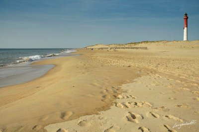 Plage du Phare de la Coubre
