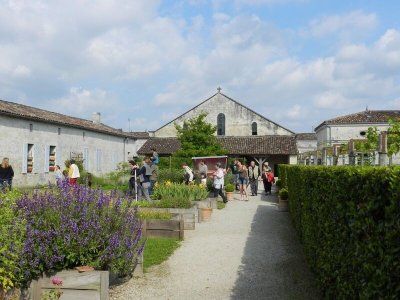 Jardin médicinal de l'Hôpital des Pèlerins