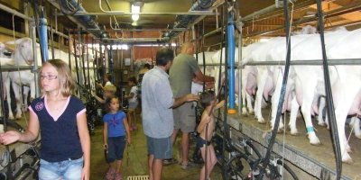 La ferme des fillaos