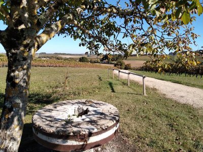 Circuit pédestre N°34 - "Bois Galante"