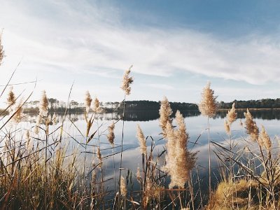 Circuit VTC N°17 - Mazerolles