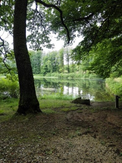 Étang de la Picarde