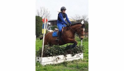 Centre équestre de Montmeyre