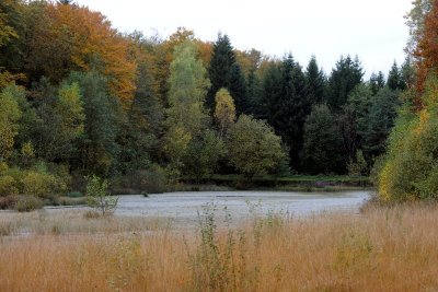 Tourbiere et l'étang de la Comtesse