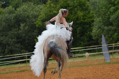 LES ÉCURIES DE LA GRANGE D'ASSON