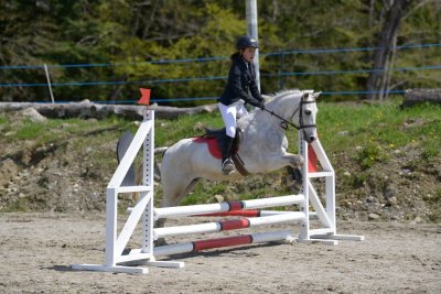 Centre équestre Le Domino