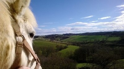 FERME EQUESTRE DES LAVANDES