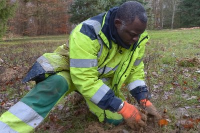 Arboretum de La Voivre