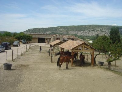 Les Crinières du Mont Ventoux