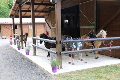 Les écuries des Pleignes