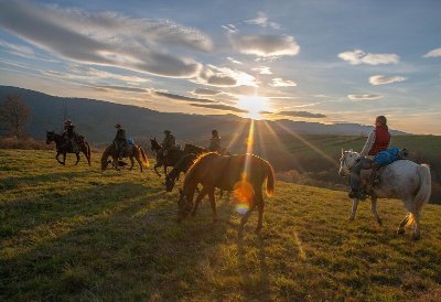 Les Attelages handi-loisirs