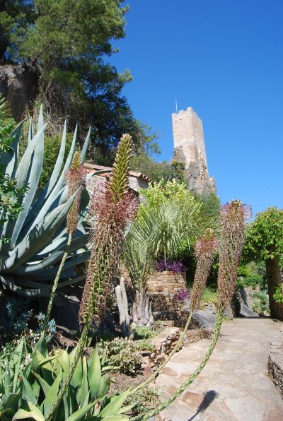 JARDIN MEDITERRANEEN DE ROQUEBRUN