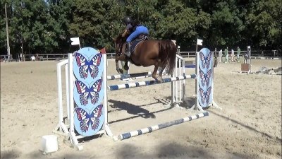 Les écuries du Vieux Moulin