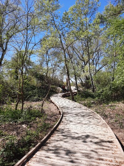 Voie verte de la Durance