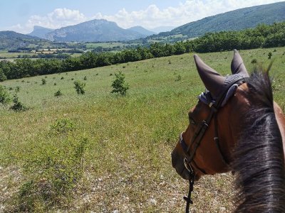 Ecurie du Val de Durance