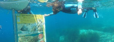 Sentier marin à la Pointe des Sardinaux