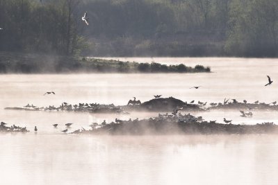 N°13 : Centre ancien et Petite Cité de Caractère