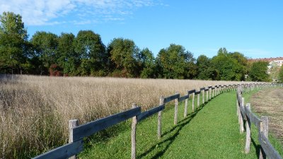 Espace naturel sensible de la prairie du Puiseaux et du Vernisson