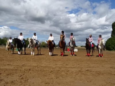 Pension et Poney - Club de l'Etoile