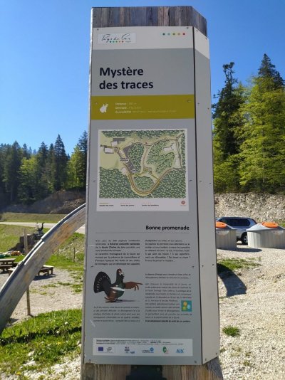 Sentier thématique : mystère des traces