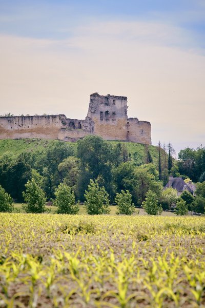 Château de Coucy