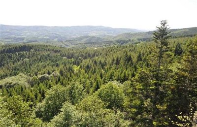 La pierre Châtel à la Pierre du Charbonnier en passant par le plateau de la Verrerie