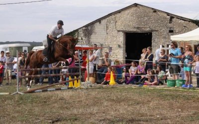 Centre équestre - Les écuries des chênes