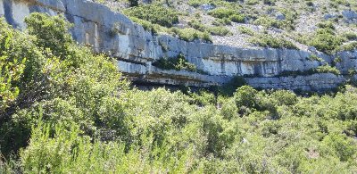La ferme d'Angèle et Aubignane