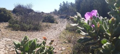 Eglise Notre-Dame de l’Etoile - Pont de l'Etoile