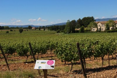 Sentier vigneron de Château Paradis