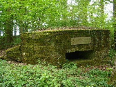 Blockhaus allemands du bois de champcourt