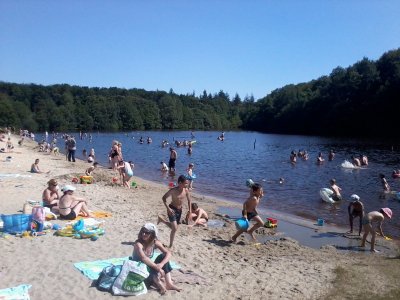 La Forêt Domaniale de Fougères
