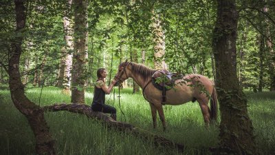 Henson - Pays de Fontainebleau