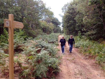 Réserve Biologique Dirigée de Vire vieille, Vignotte et Batejin